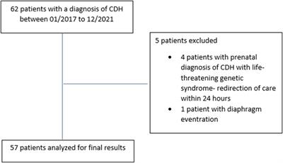 Inotropic score and vasoactive inotropic score as predictors of outcomes in congenital diaphragmatic hernia: A single center retrospective study